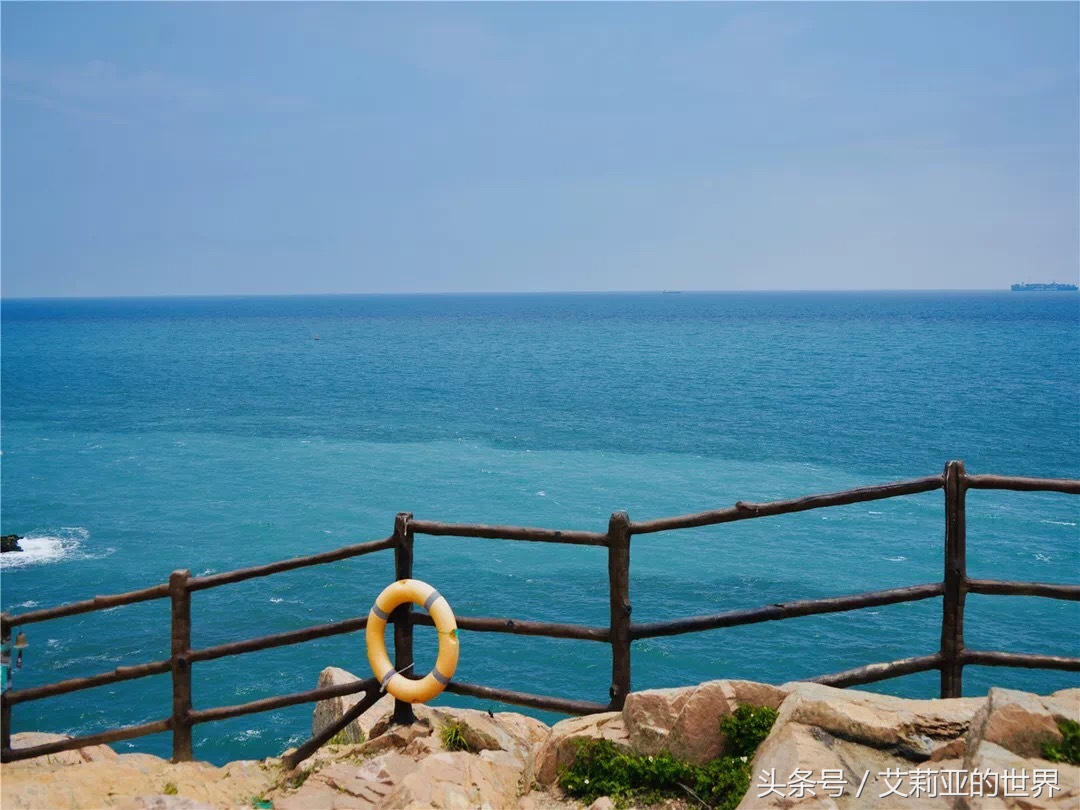 生活不止杯中的枸杞还有诗和远方 (生活不止有诗和远方 还有枸杞)