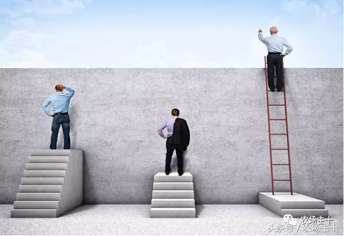 农产品众筹方案,为什么众筹没了