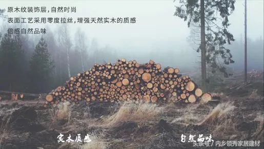 10件让你爱不释手的居家好物,打死都不能买的这些居家好物