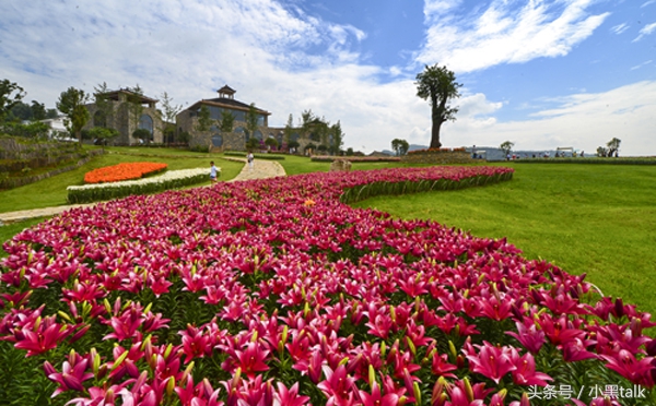 老罗演讲理想主义者,老罗理想主义者的故事