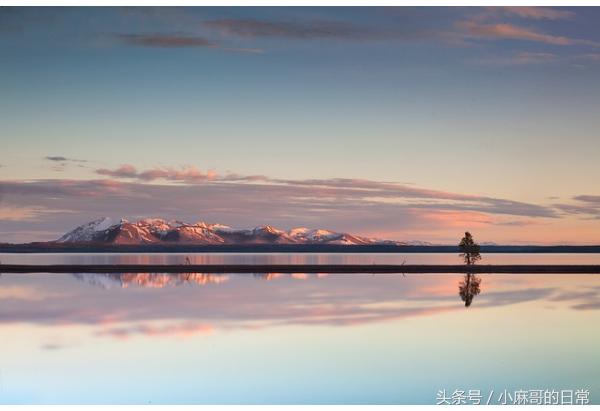 阿片受体激动剂脱毒,阿片受体激动剂