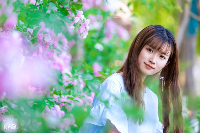 小说:总裁几句话决定了贪污经理的前途,褒奖了见义勇为的女孩