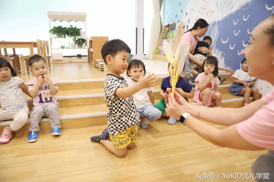 Yo宝工作坊，送小动物回家