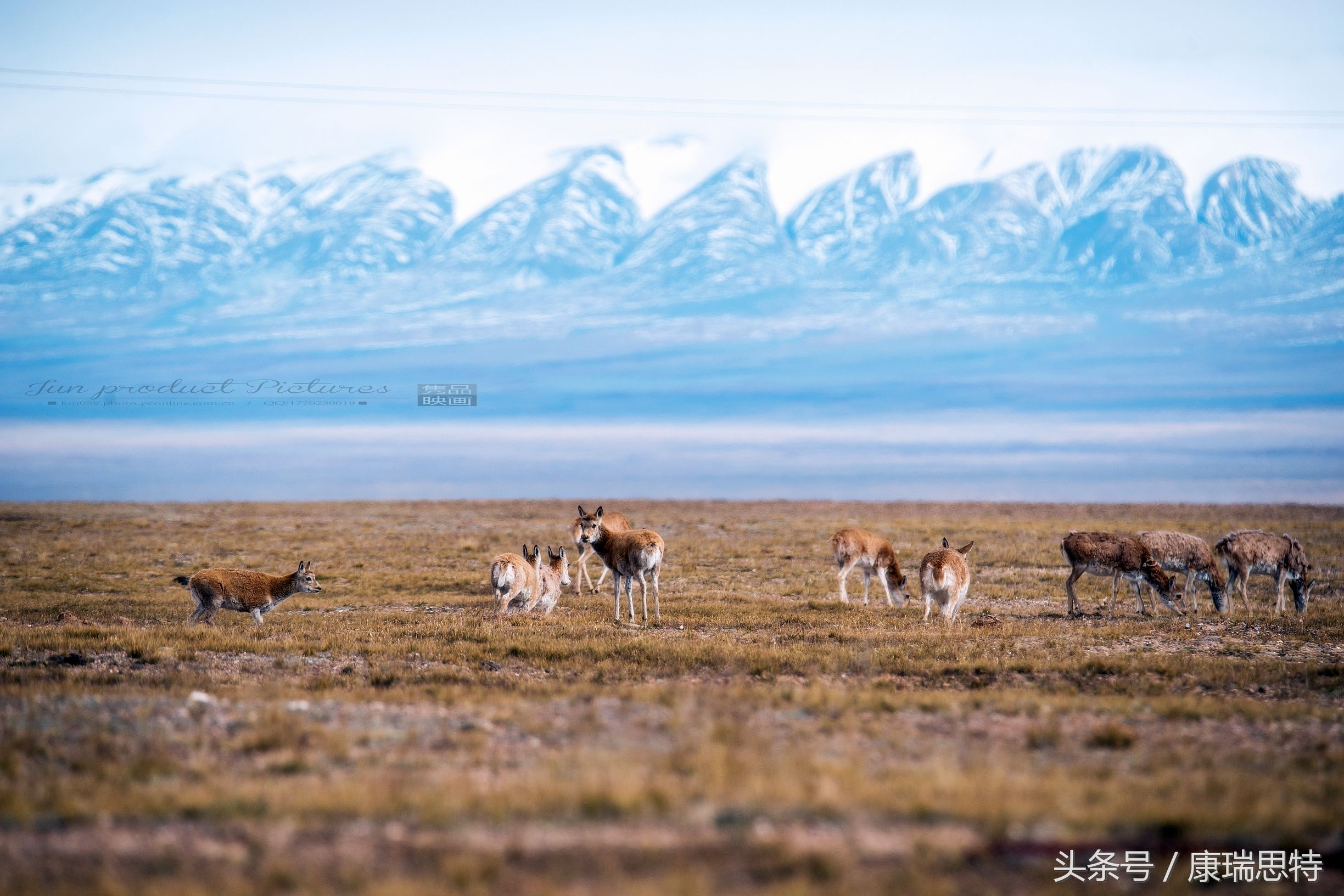 到高原地区应该注意什么,高原缺氧严重会导致什么后果