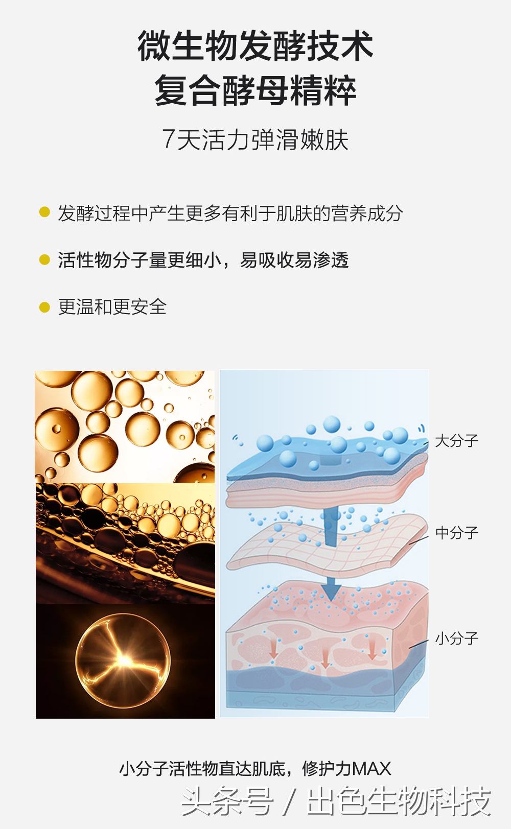 酵母活肤精华是什么牌子,活肤酵母精华
