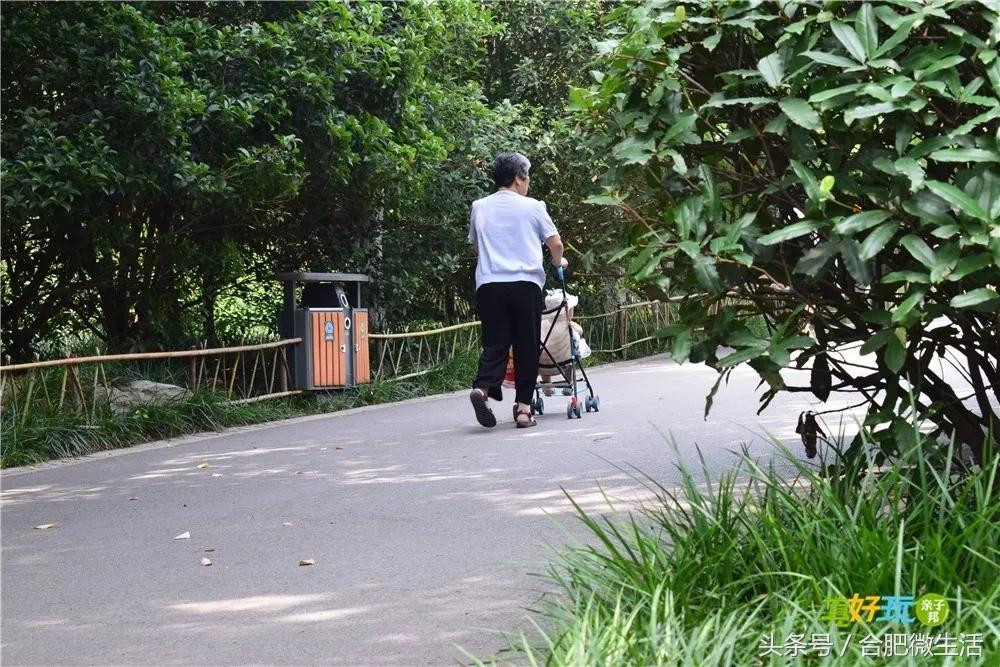 老合肥杏花公园,合肥曾经有两个杏花公园