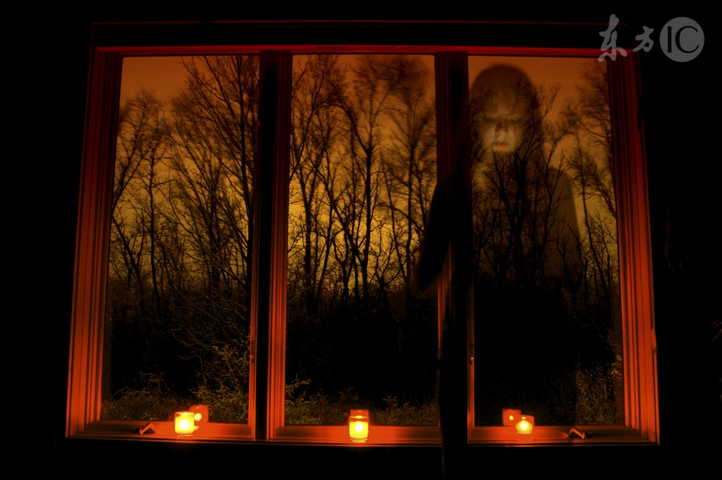 女主体内被种蛊虫,蛊虫小说