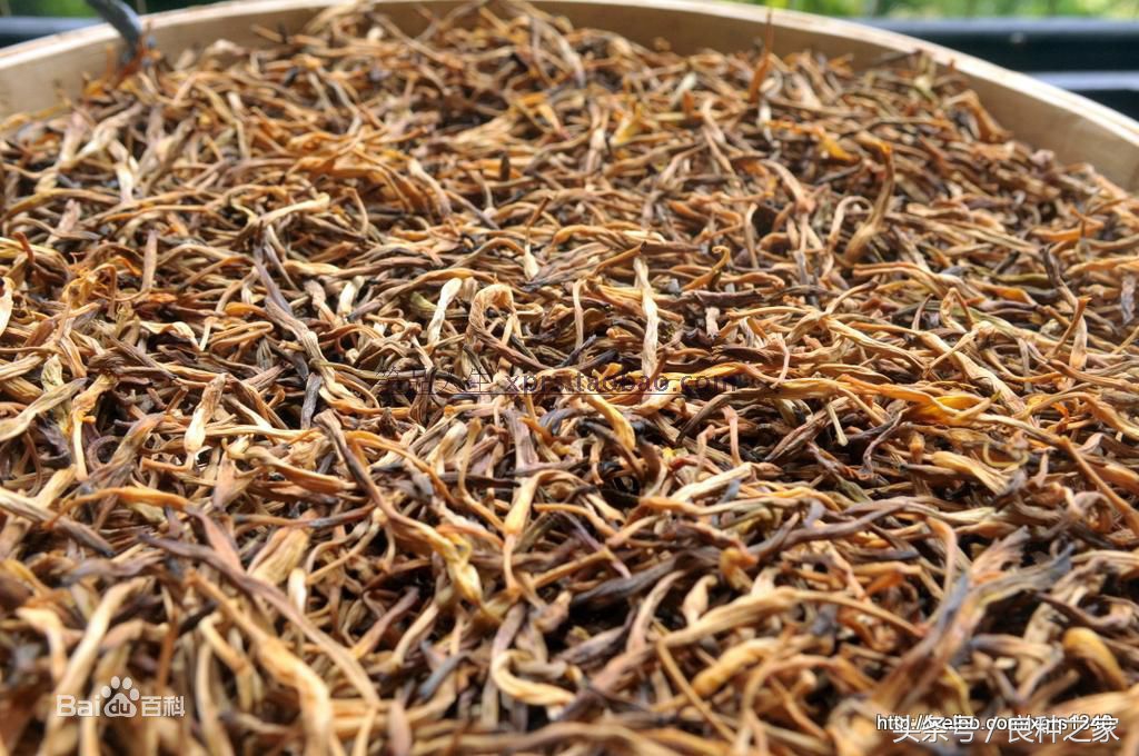 餐桌上常见的本土作物是什么,10种常见的粮食作物