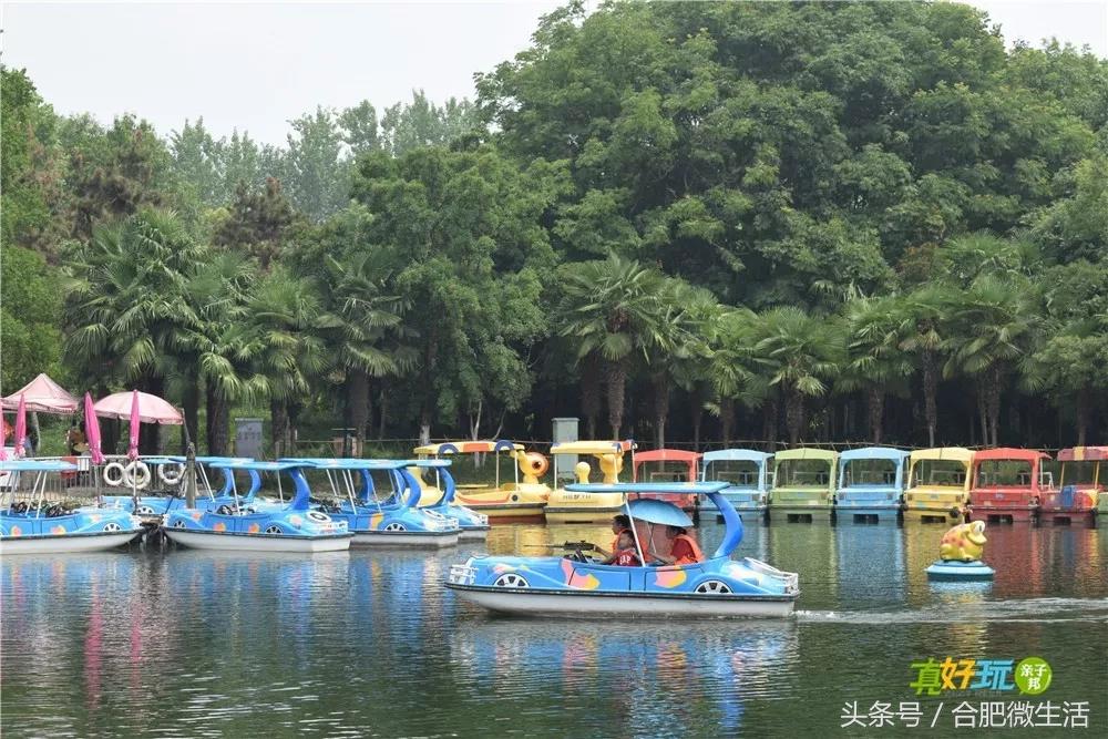 老合肥杏花公园,合肥曾经有两个杏花公园