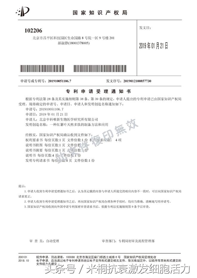 一种红薯叶天然多肽的国家发明专利制备方法和应用