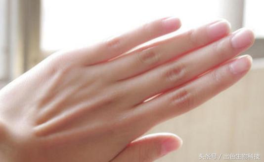 酵母活肤精华是什么牌子,活肤酵母精华