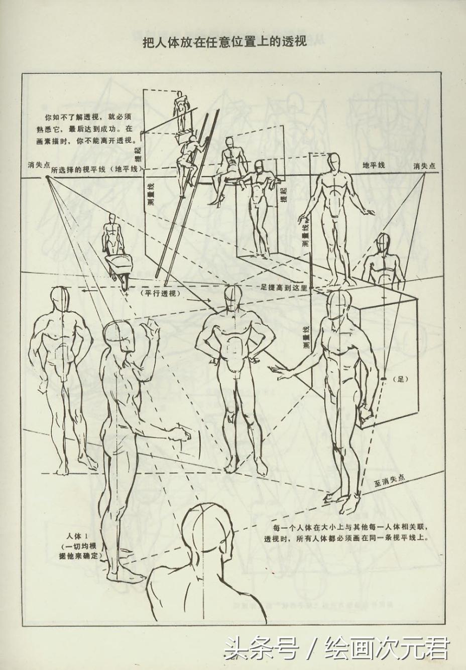 人体结构怎么画?教你如何绘画人体动态的技巧!