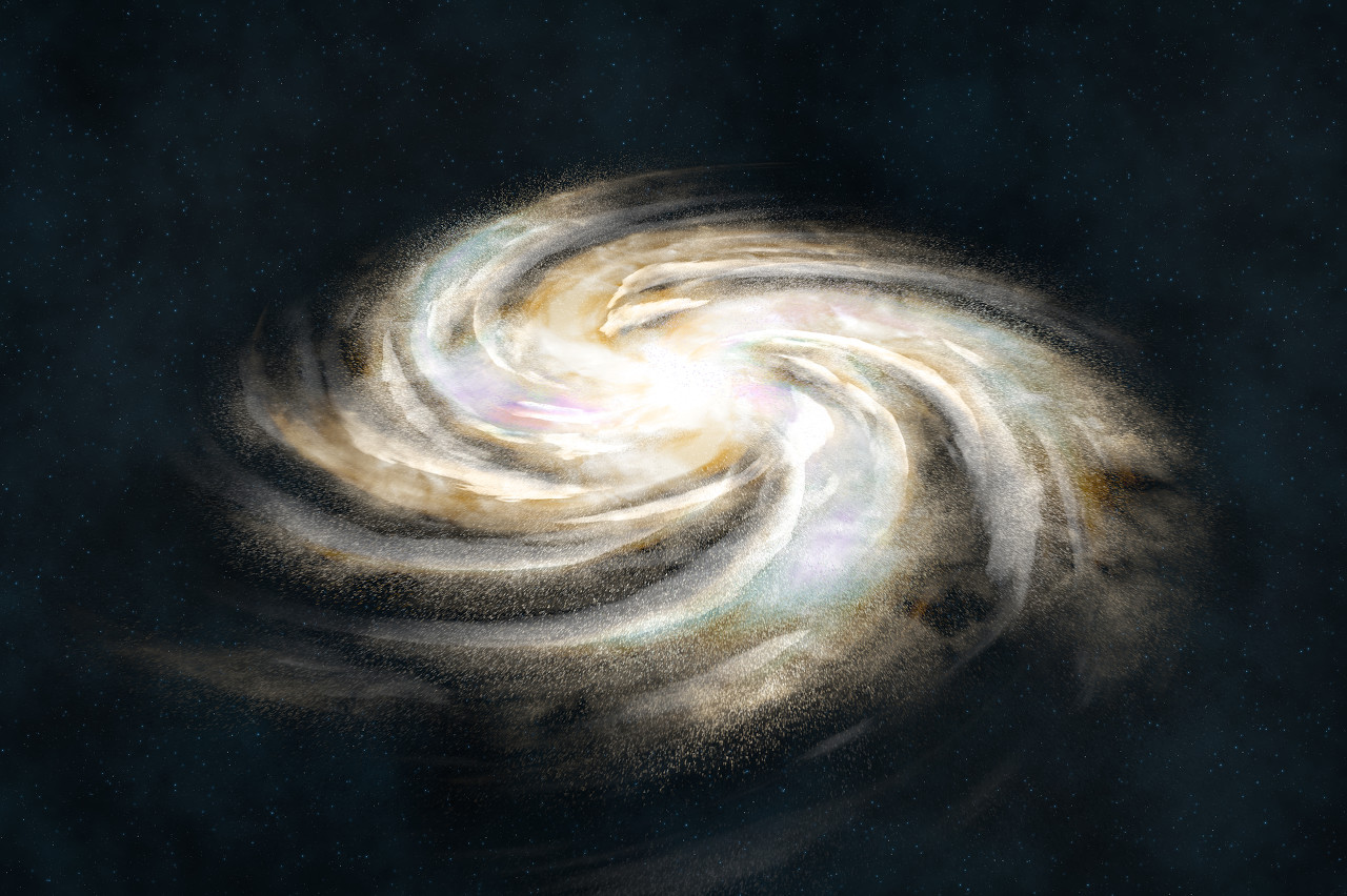 故事:这本是个动手的好机会,他却因怜悯而放弃,让小生灵很不满