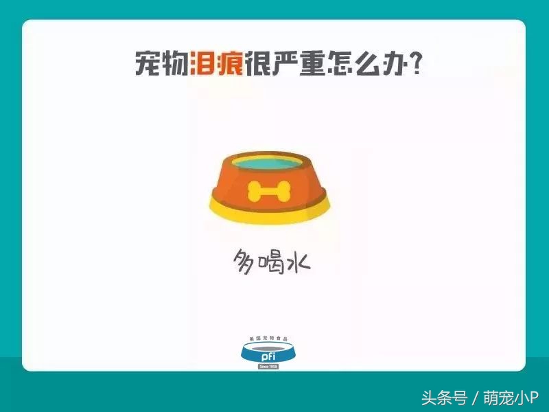 宠物泪痕如何消除,宠物泪痕如何消除省钱