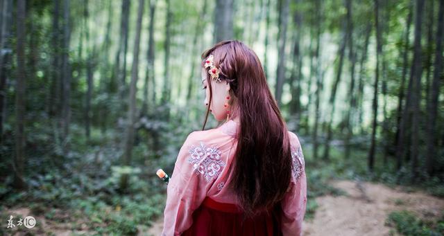 五十万大军全军覆没割地和亲,五十万大军全军覆没大明风华