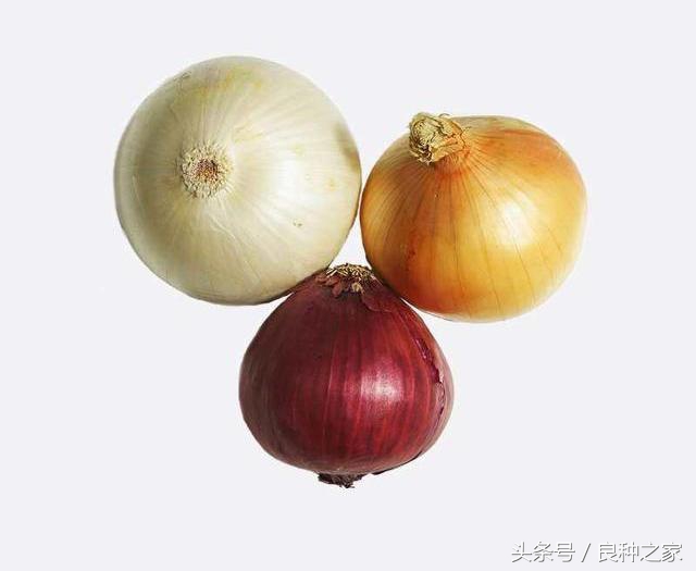 餐桌上常见的本土作物是什么,10种常见的粮食作物