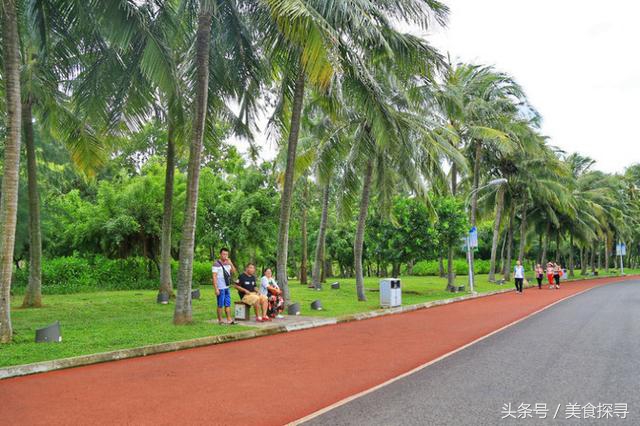 一个人的旅行海南攻略,一次难忘的海口旅游