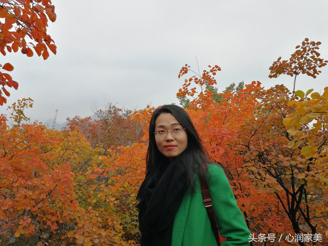 心理咨询求助方式有哪些,心理咨询求助简短对话