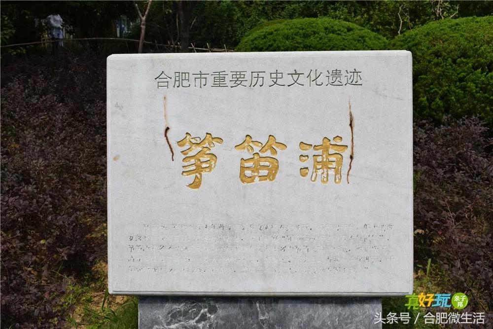 老合肥杏花公园,合肥曾经有两个杏花公园