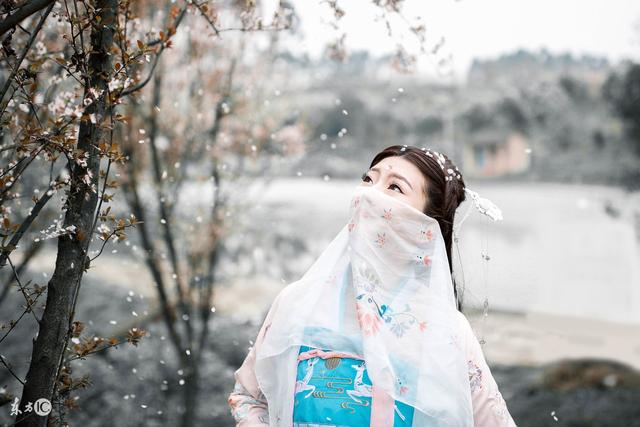 富家千金看上穷苦书生电视剧,穷书生小说