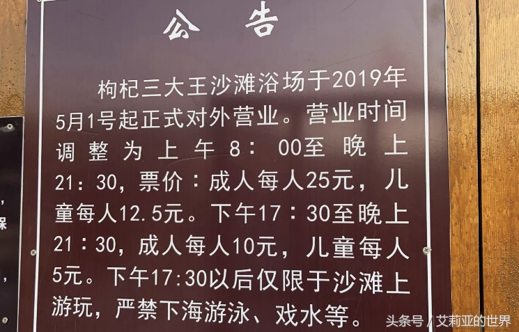 生活不止杯中的枸杞还有诗和远方 (生活不止有诗和远方 还有枸杞)