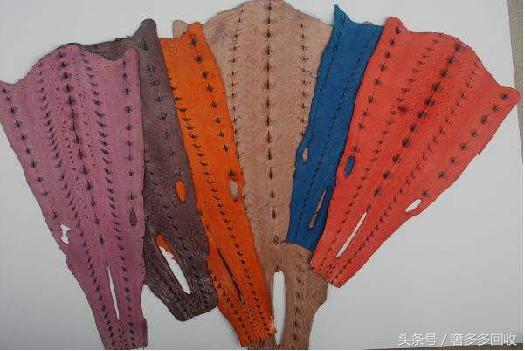 女人必须懂的十大知识,女性必知的奢侈品常识