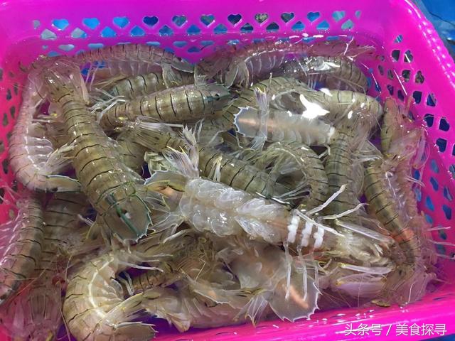 海口一座充满回忆的城市,海口的城市记忆