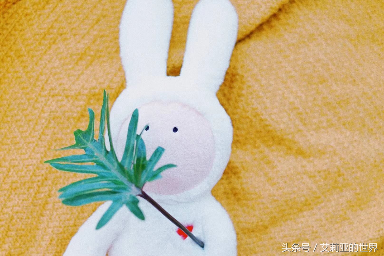 生活不止杯中的枸杞还有诗和远方 (生活不止有诗和远方 还有枸杞)