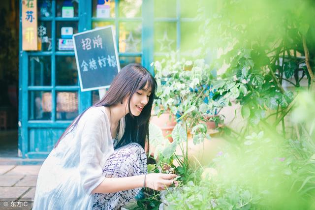 谈婚论嫁小说最新章节目录,谈婚论嫁免费阅读小说