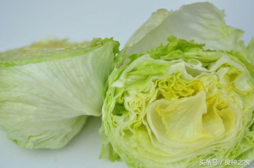 餐桌上常见的本土作物是什么,10种常见的粮食作物