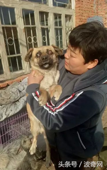 閲戞瘺绗煎瓙閲岀殑娉拌开,閲戞瘺鍜岀憻鐟熷彂鎶栫殑娉拌开