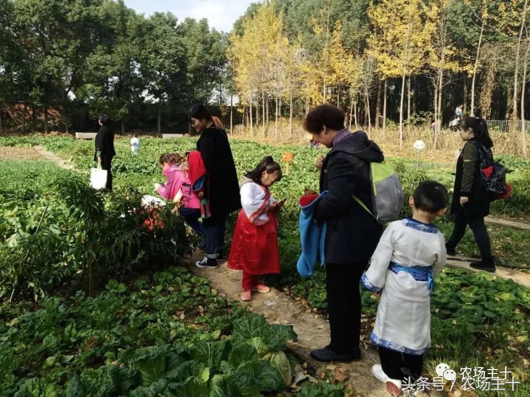 休闲农庄7大盈利模式,休闲农庄有什么前景吗