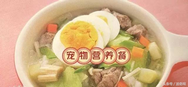 狗狗除了狗粮还可以吃的食物,狗狗除了喂狗粮还可以喂什么