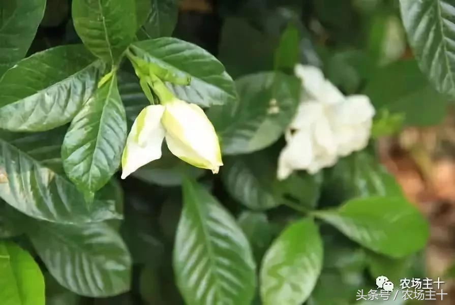 休闲农庄7大盈利模式,休闲农庄有什么前景吗