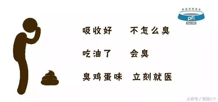 狗狗身体健康但是精神状态不好,狗狗便便健康的应该是什么颜色