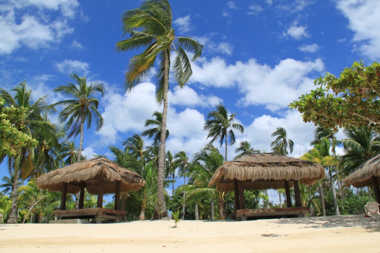 佛教七大珍宝砗磲,佛教七宝贝壳