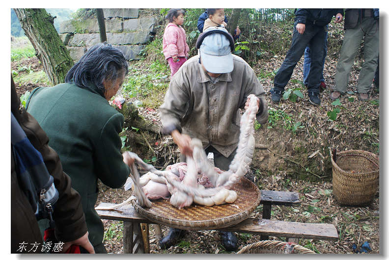 疫情也挡不住游子归家的心,疫情也挡不住吃货的心