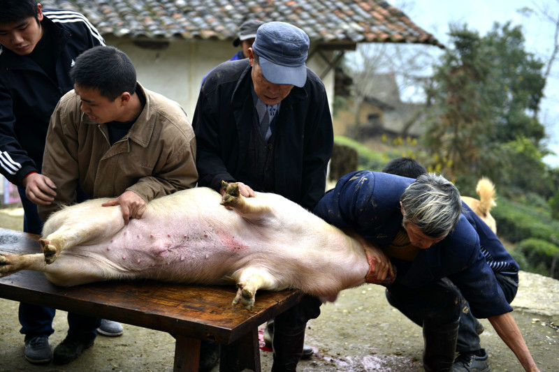 疫情也挡不住游子归家的心,疫情也挡不住吃货的心