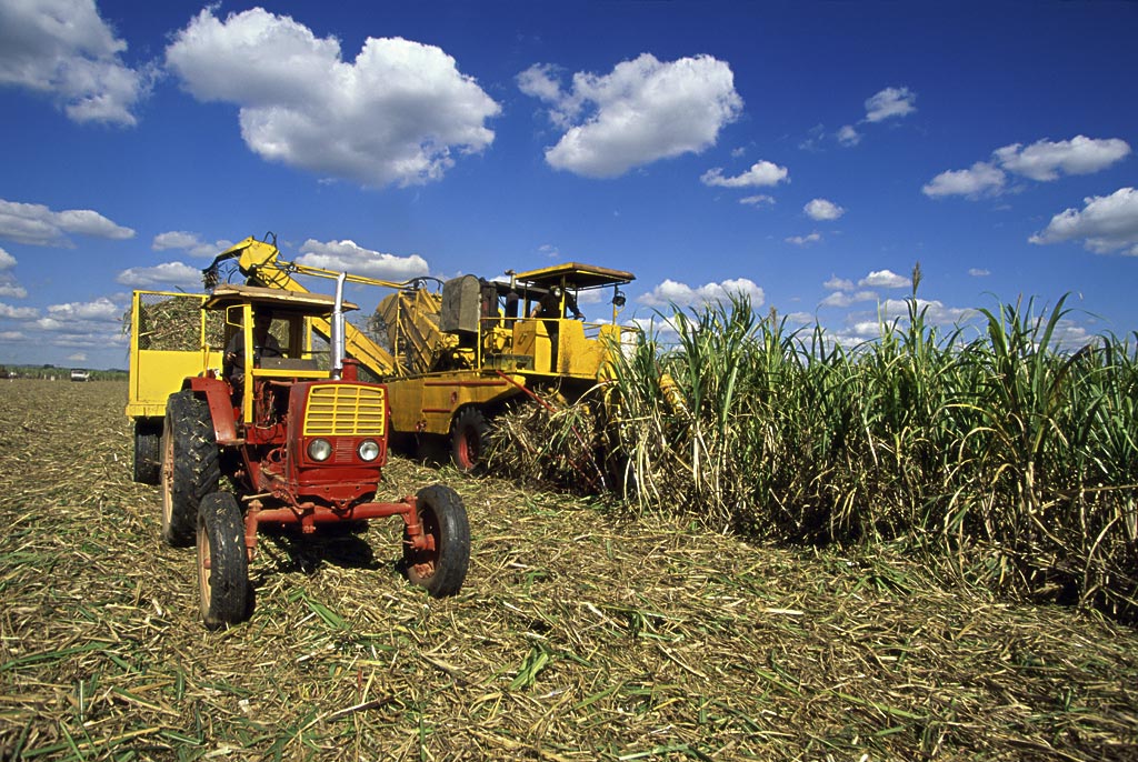 古巴是南美唯一社会主义国家吗,古巴的现状及人民生活现状
