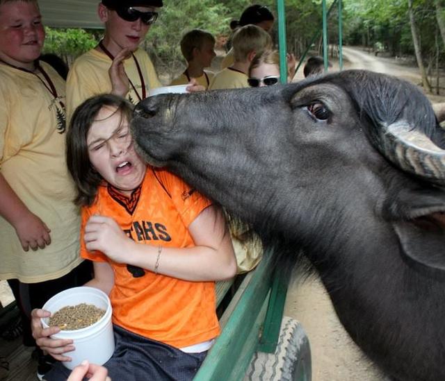 最倒霉的100个瞬间视频,35个最倒霉的瞬间