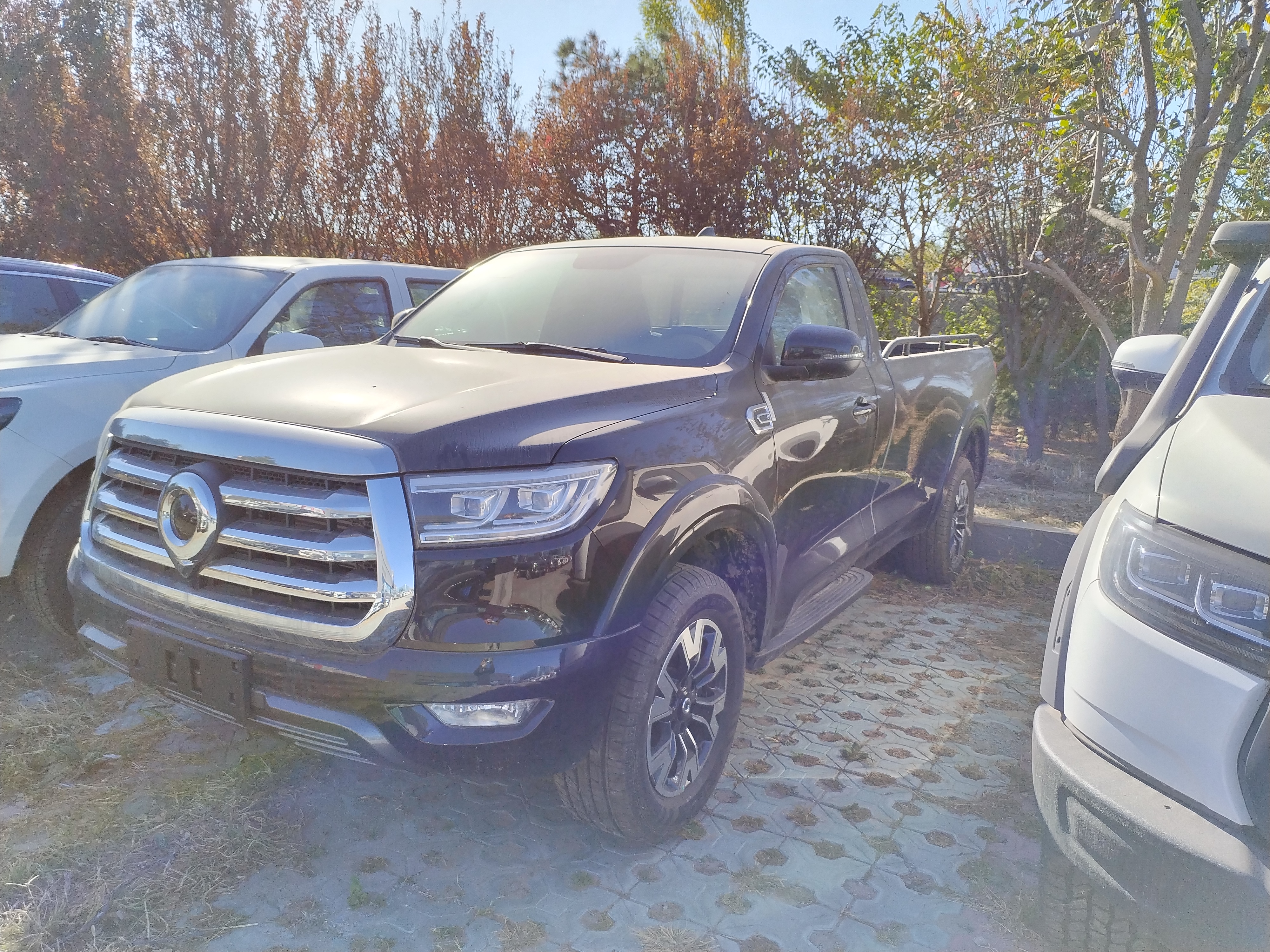 长城炮单排皮卡有什么缺点,公认最好的三款长城炮自动挡皮卡