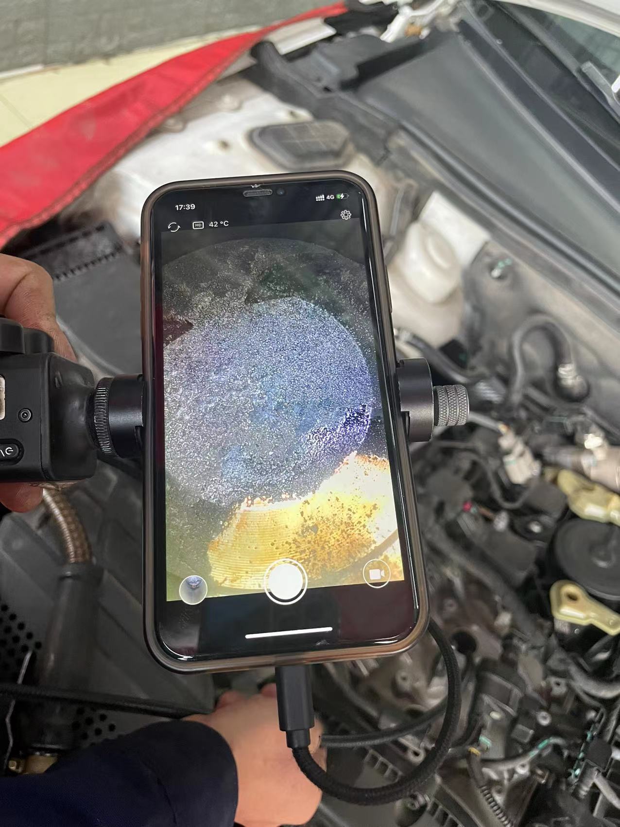 pnf技术是训练什么的,pnf技术可用于治疗什么