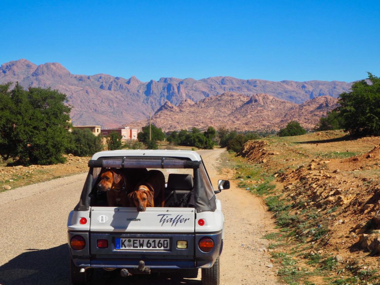 乐高可玩性最高的系列车,让我们来看一下乐高90年玩乐历程