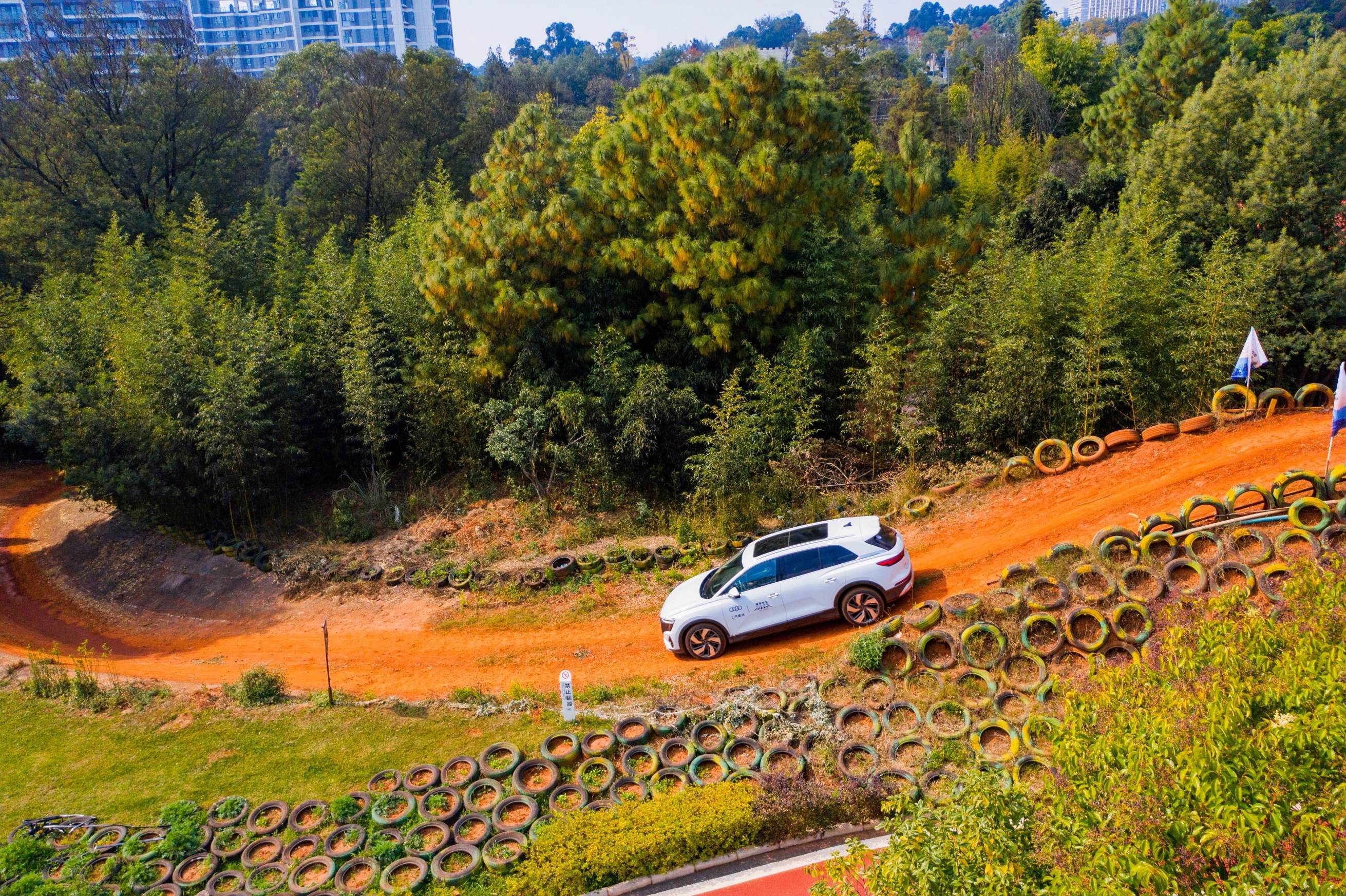 鐩婅鍏泭瀛靛寲,瑗垮崡缁垮垱