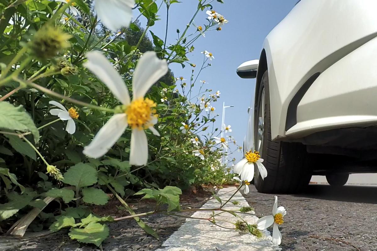 便宜的轮胎和贵的轮胎,价格贵的轮胎和便宜轮胎的区别