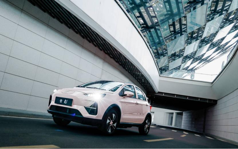 云兔对比海鸥,云兔和海鸥