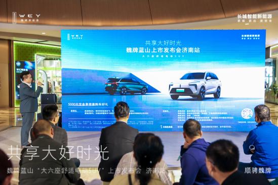 魏牌蓝山降价多少入手合适,2024款魏牌蓝山纯电续航