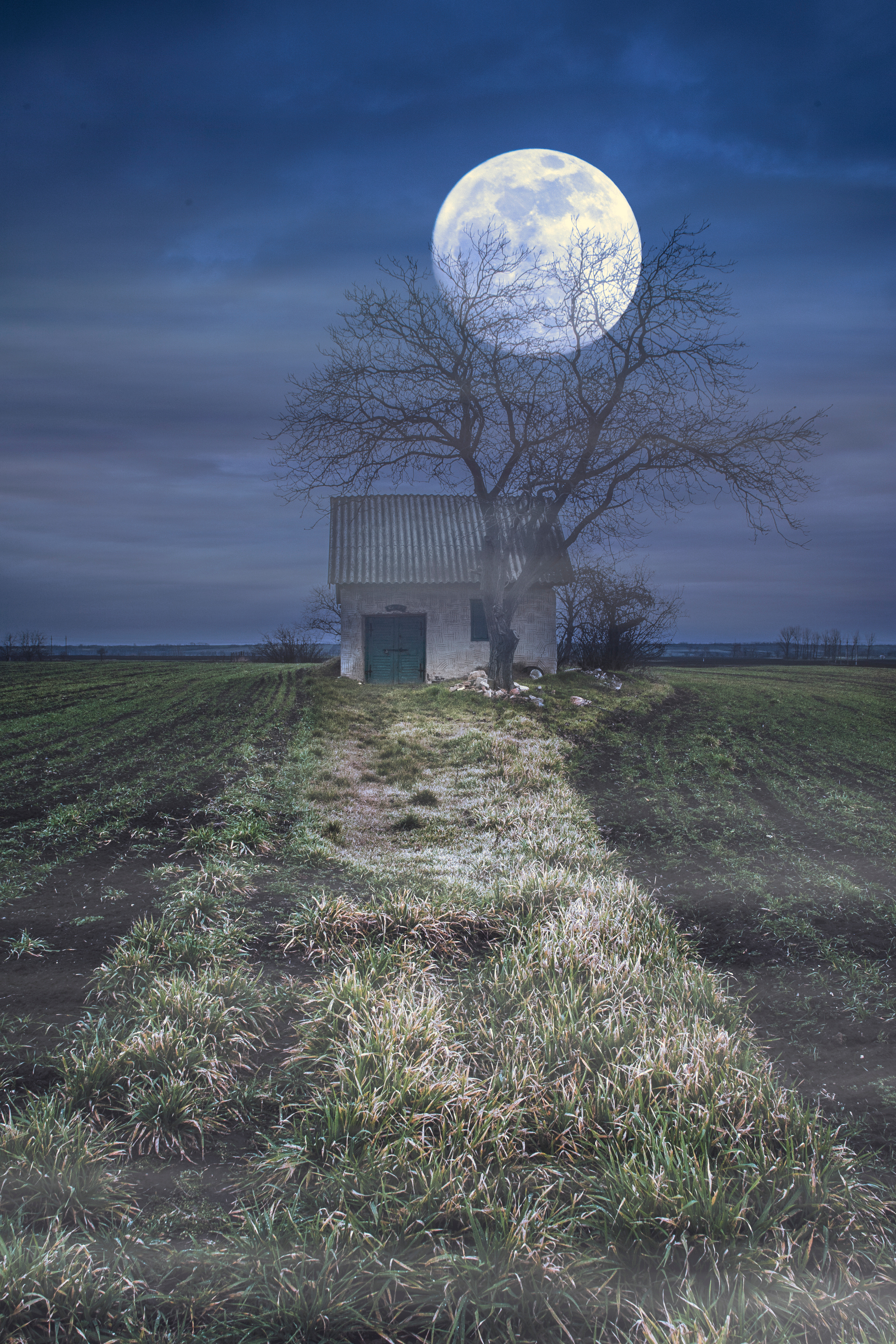 小说火葬场的怪异事件,小说里出现好多墓碑