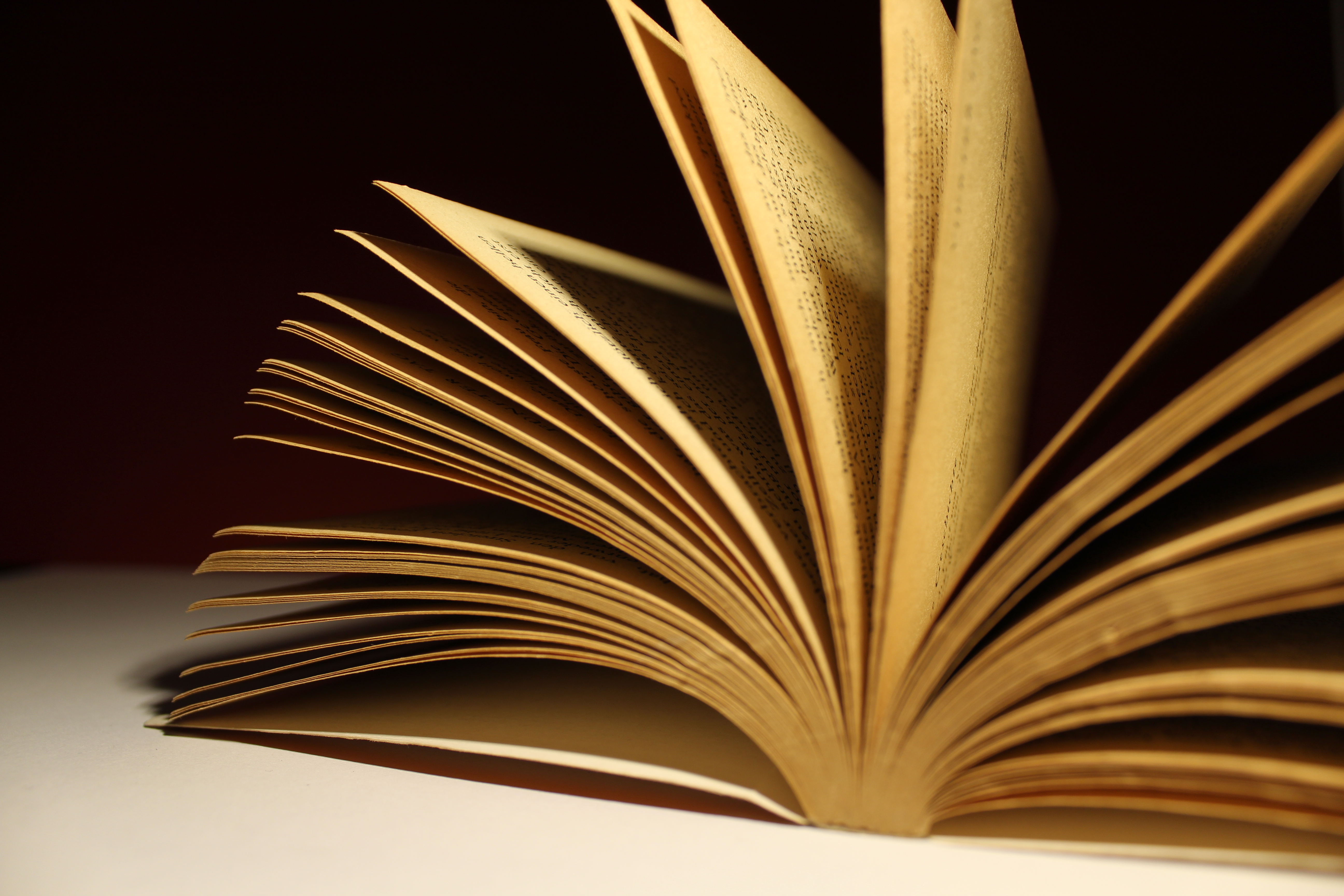 谢灵运被斩杀,谢灵运生平事迹