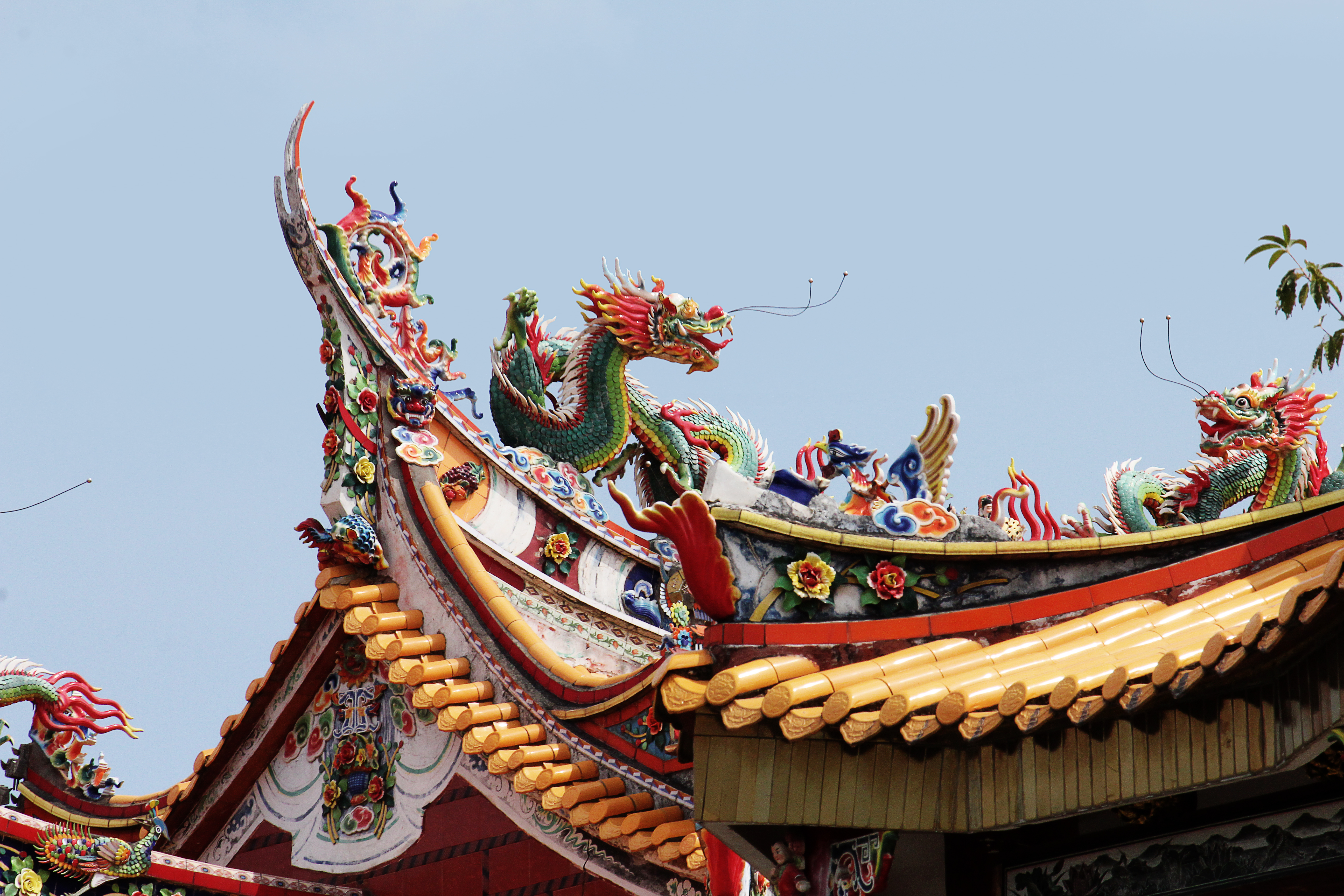 诗经中有艳的诗句,诗经中的美到令人心醉